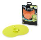 Explorez le tapis magique