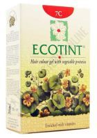 Ecotint Blond Cendré-7C