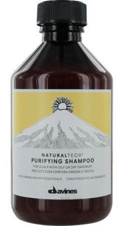 Shampooing purifiant Naturaltech 250 ml