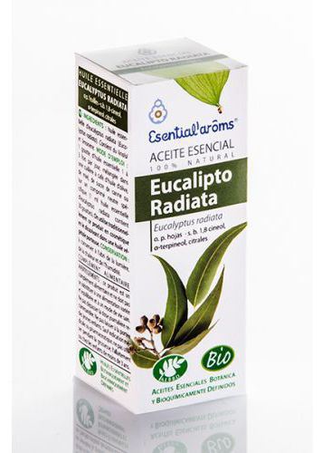 Eucalyptus Radiata Essence 10Ml. Bio