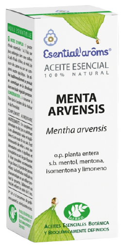 Essence de menthe Arvensis 10Ml