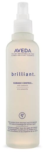 Contrôle brillant des dommages 250 ml