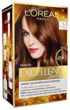 Excellence Teinte Intense