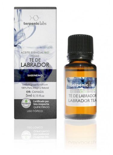 Huile Essentielle de Thé du Labrador Bio 5 ml