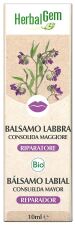 Baume à lèvres Consoude Major Bio 10 ml