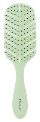 Brosse Squelette Biodégradable Biofriendly