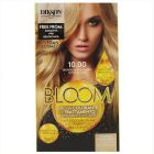 Teinte Bloom Couleur Crème