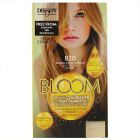 Teinte Bloom Couleur Crème