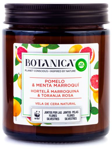 Bougie aromatique de cire naturelle Pamplemousse et menthe marocaine 205 gr