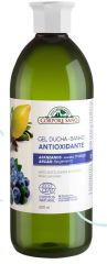 Gel de bain antioxydant à l&#39;argan et à la myrtille 600 ml