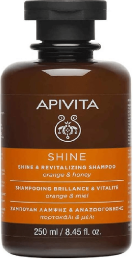 Shine Shampoing Brillance et Vitalité 250 ml