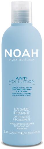 Après-Shampoing Hydratant et Équilibrant Anti Pollution 250 ml