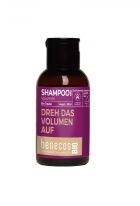 Shampoing Volume Raisin Bio