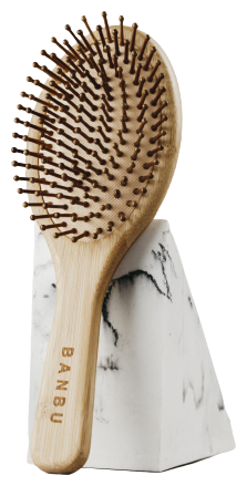 Brosse Ronde en Bambou 1 Unité