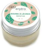 Baume à Lèvres Menthe 15 gr